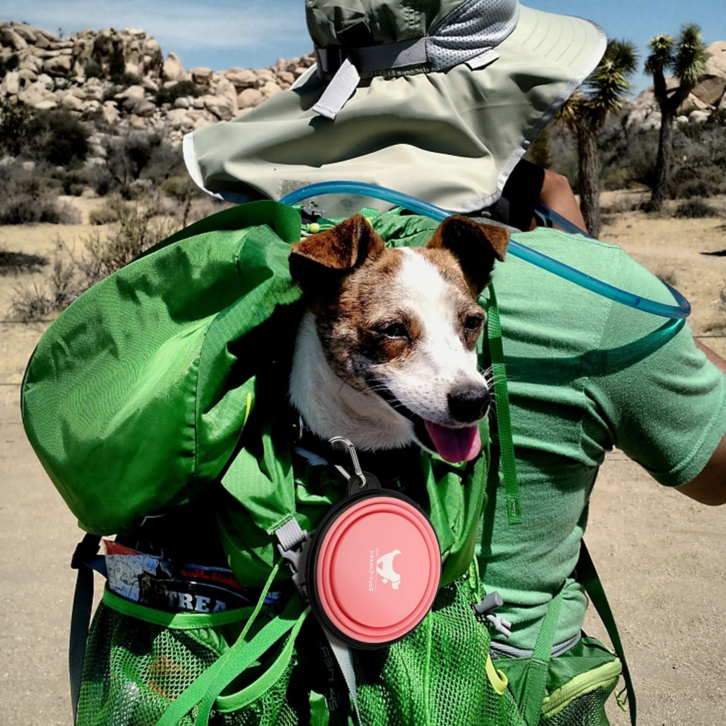 Dog Bowls for Trave