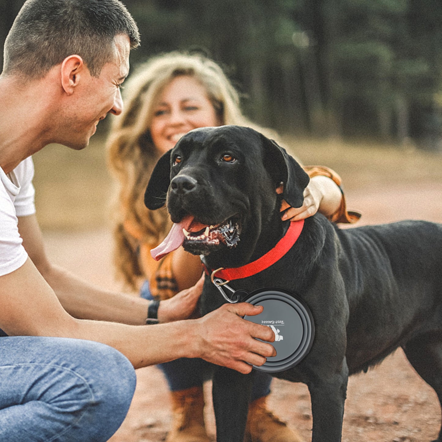 Dog Bowls for Trave